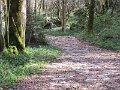 IMG_0048