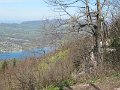 IMG_0052