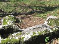 IMG_0056