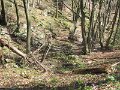 IMG_0061