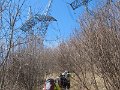 IMG_0067