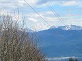 IMG_0069