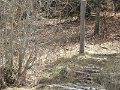 IMG_0091