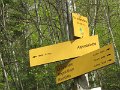 IMG_0101