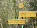 IMG_0104