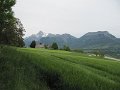 IMG_0004