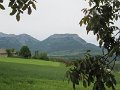 IMG_0007