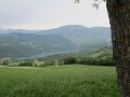 IMG_0008