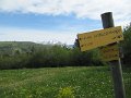 IMG_0014