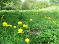 IMG_0016