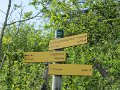 IMG_0017