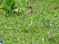 IMG_0024