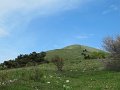 IMG_0033