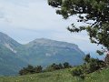 IMG_0035