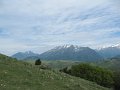 IMG_0036