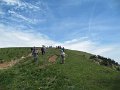 IMG_0049