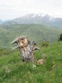 IMG_0059