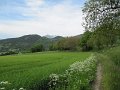 IMG_0064