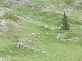 IMG_0004