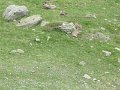 IMG_0005