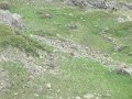 IMG_0006