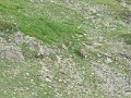IMG_0007