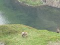 IMG_0011