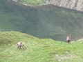 IMG_0012
