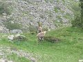 IMG_0013