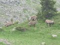 IMG_0019