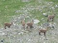 IMG_0022