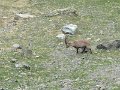 IMG_0023