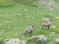 IMG_0024
