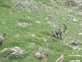 IMG_0025