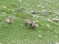IMG_0026