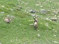 IMG_0027
