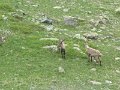 IMG_0028