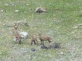 IMG_0029