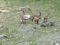 IMG_0030