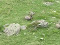 IMG_0031