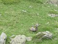 IMG_0032