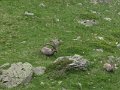 IMG_0033