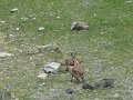 IMG_0034