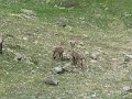 IMG_0036