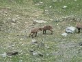 IMG_0040