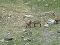 IMG_0041
