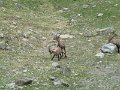 IMG_0042