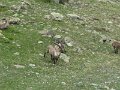 IMG_0045
