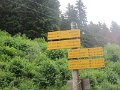 IMG_0023b