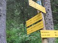 IMG_0024b_8h29